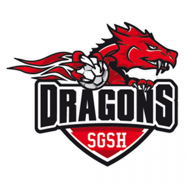 SGSH Dragons