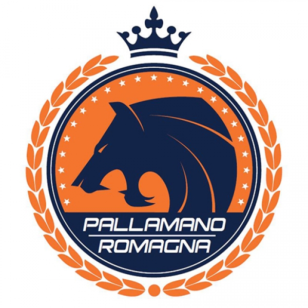 Pallamano Romagna